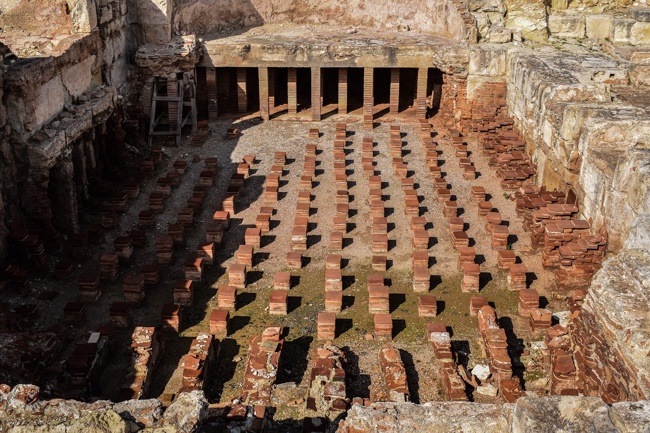 The Discovery of the Ancient Roman Gladiator Schools